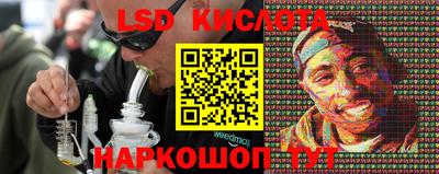 прущий лед Кингисепп